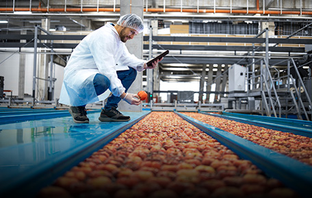 Processed Fruits and Vegetables