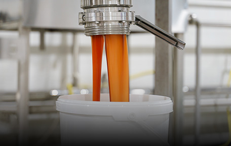 Pulps and Concentrate of various fruits/vegetables